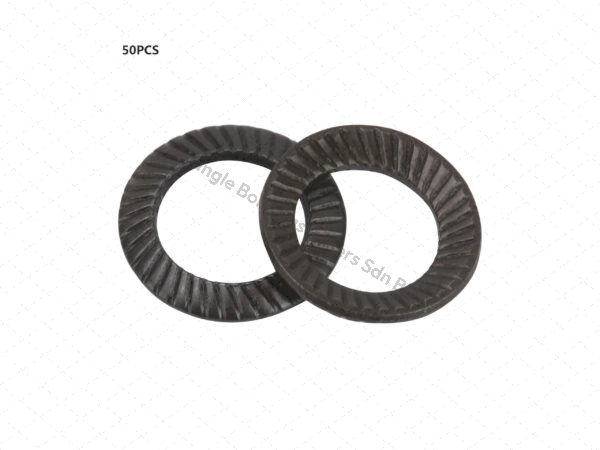 Ribbed Lock Washer – Triangle Bolts Fasteners